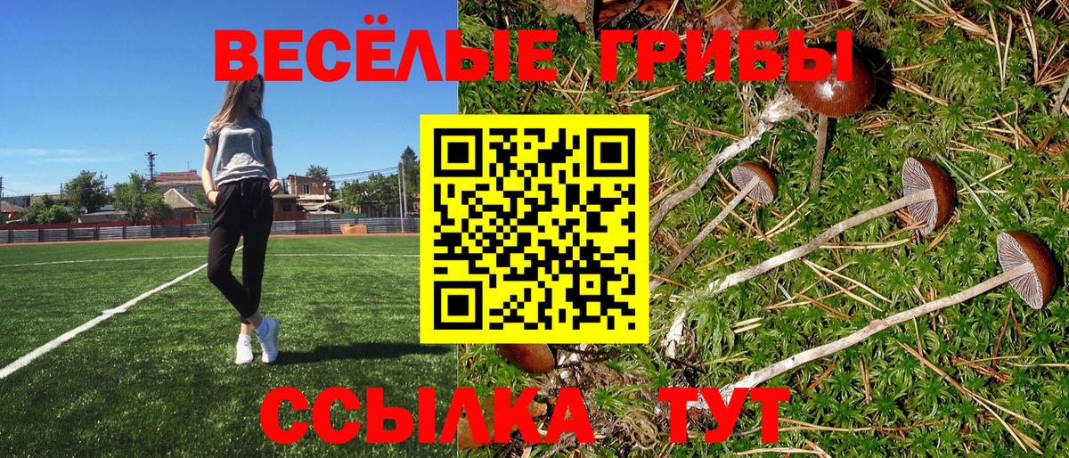 сколько стоит  Вход с VPN  Кострома  Псилоцибиновые грибы Psilocybe 