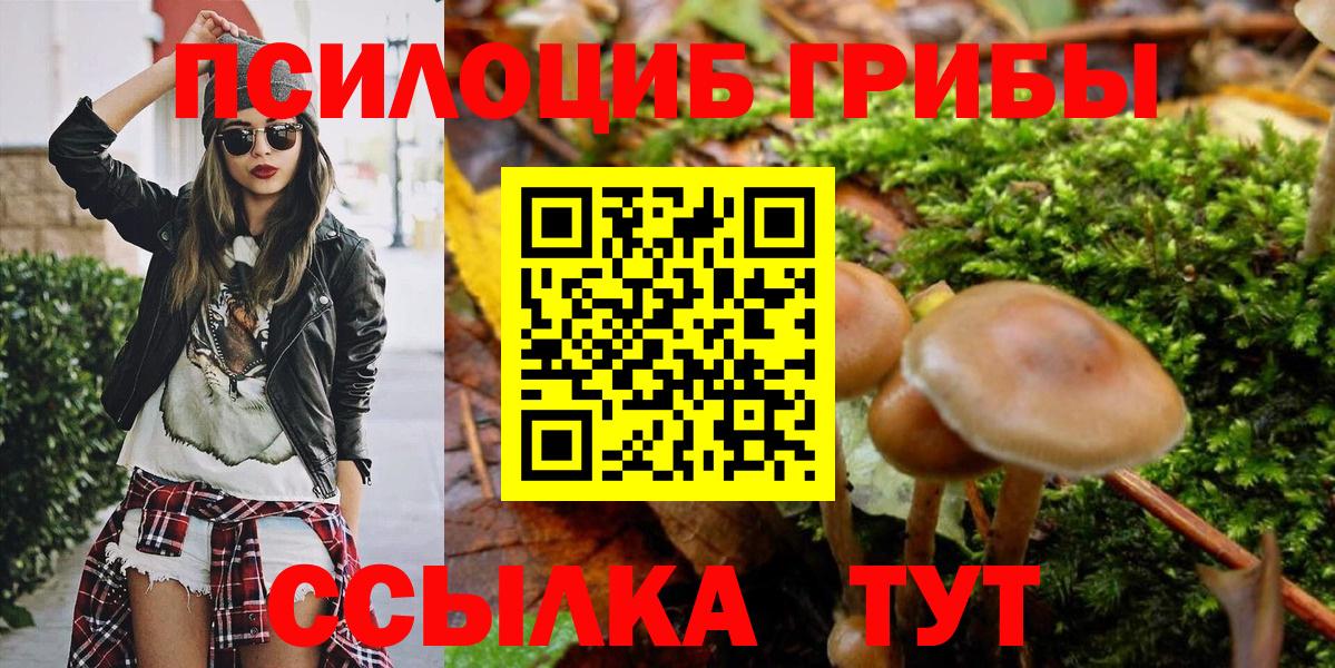 МЕФ Кострома