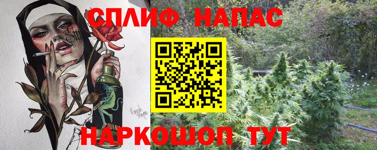 Каннабис марихуана Кострома